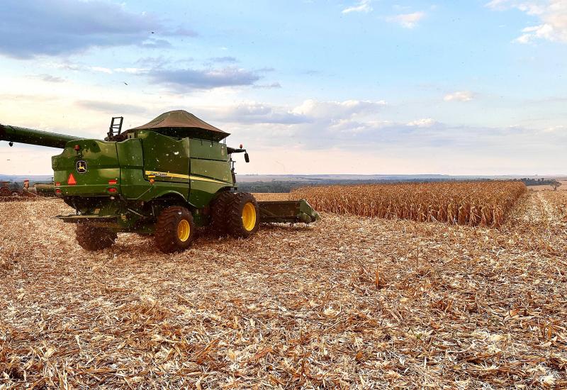 Mais de 330 mil hectares de milho já foram colhidos no Estado